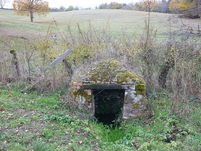 Curiosité du bocage