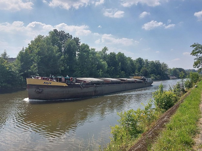 Balade autour de la noue 26.06.24. (8)