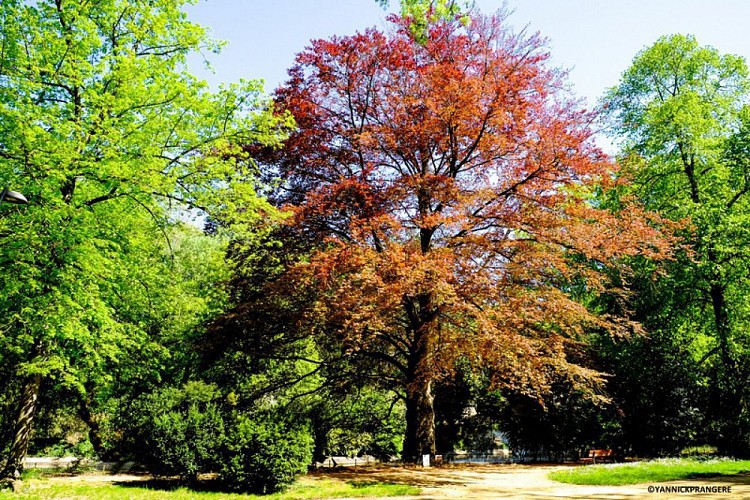 Der öffentliche Garten von Cambrai