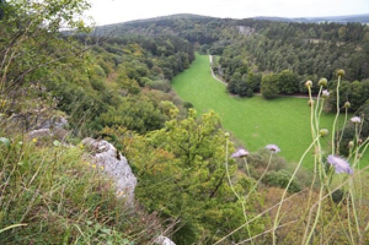 Pt de vue du Fond de Tion