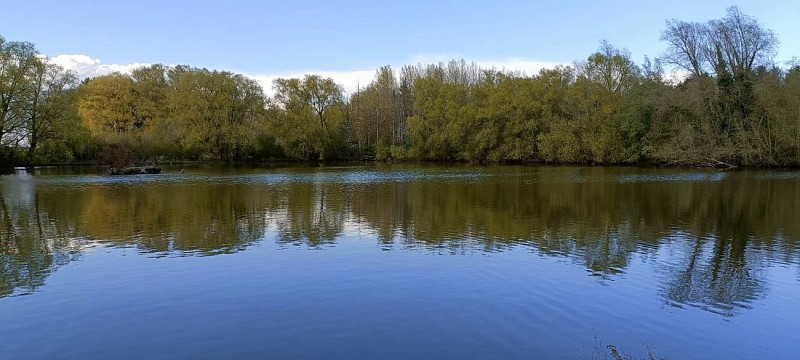 343007413_946581820090234_115195625922811426_n