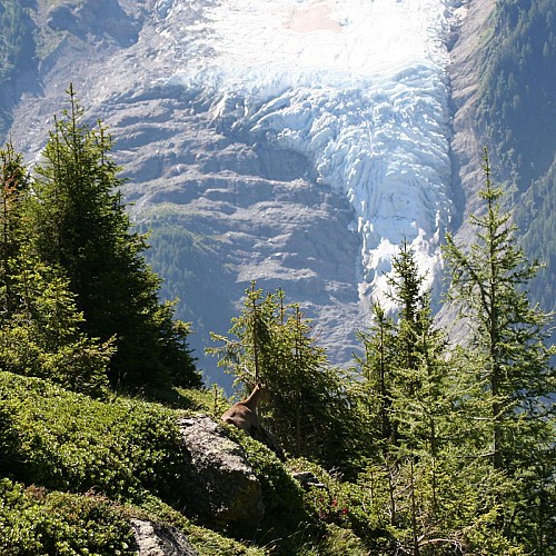 Sur le chemin de montée
