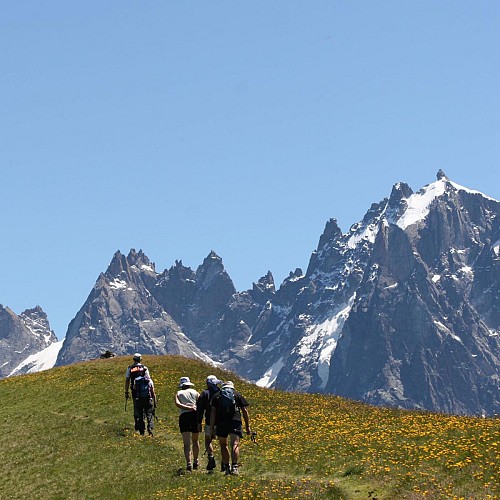 Les Aiguilles de Chamonix depuis les Aiguillettes ...