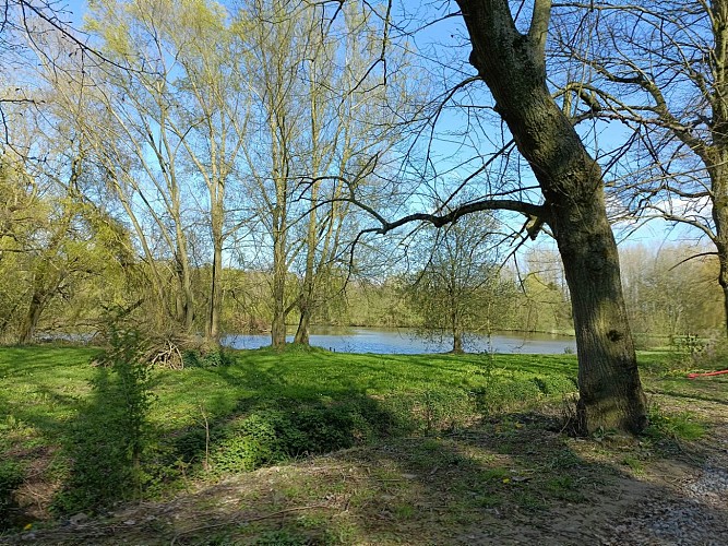 343022972_773831017477550_4989108006261471229_n