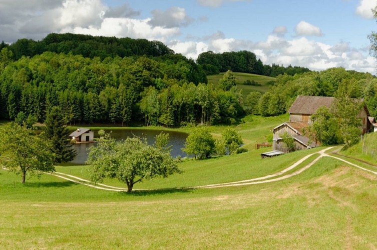 Circuit pédestre "Le Roséria" - Vosges du sud
