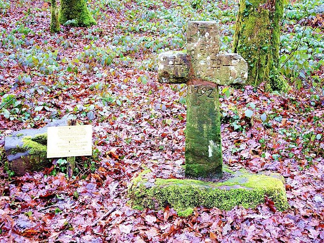Circuit pédestre "La ronde du Paquis" - Vosges du Sud