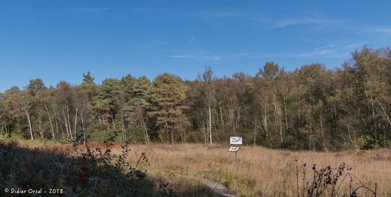 Manou - Tourbière des Froux