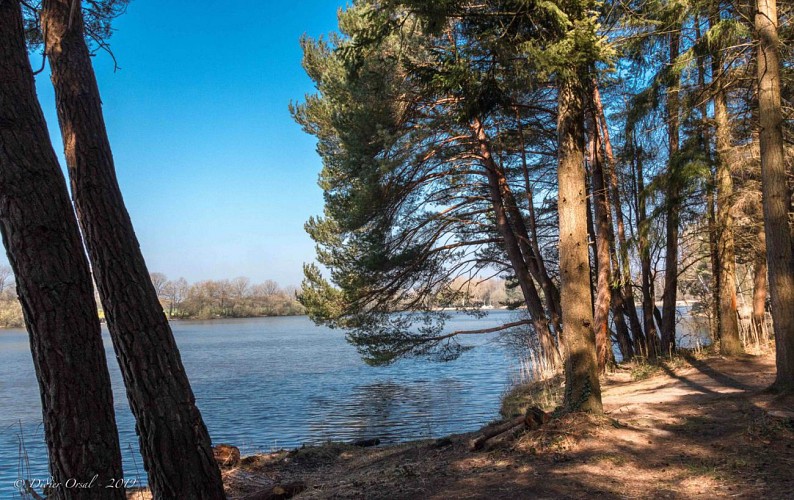 Les Etangs de Chaumont - La Trappe