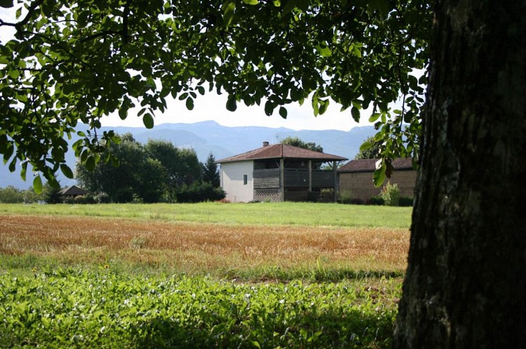 Séchoir à noix dans le Sud Grésivaudan en Isère