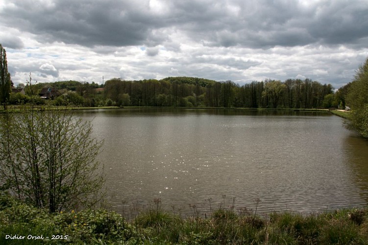 L'étang de La Madeleine-Bouvet