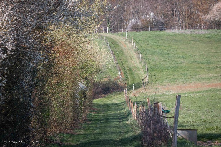 Nocé-Courboyer Maison du Parc
