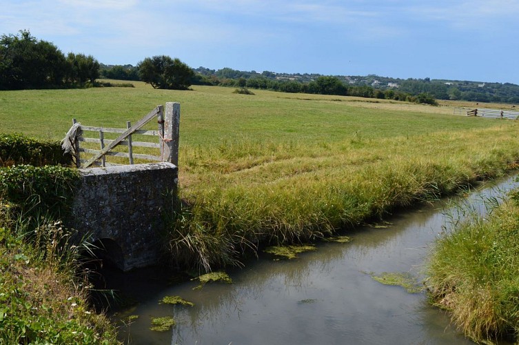 Entre terre, mer et marais
