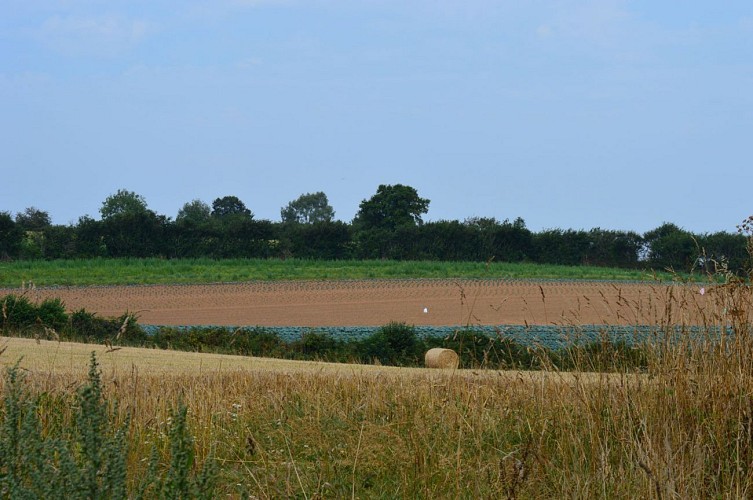 L'empreinte des Vikings