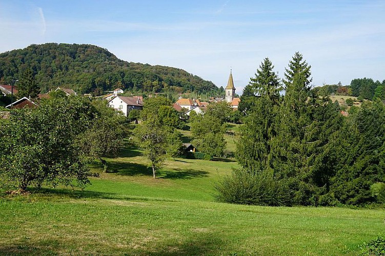 Circuit pédestre "Le sentier de la comtesse Henriette" - Vosges du sud