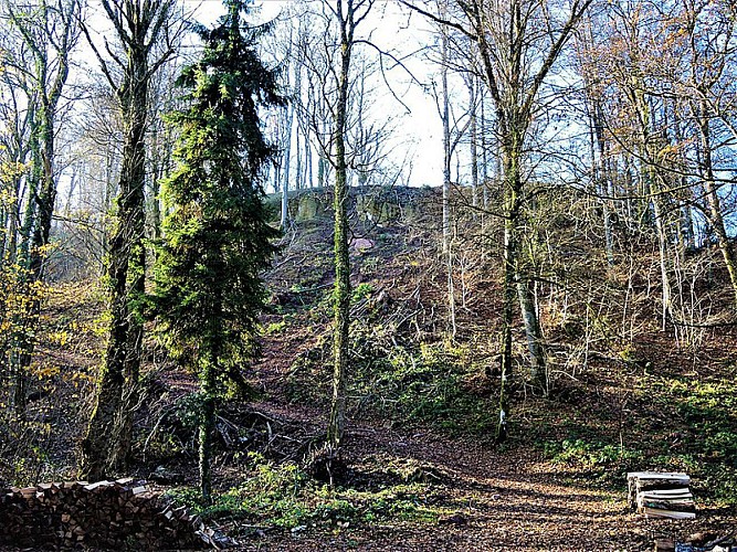 Circuit pédestre "Le sentier de la comtesse Henriette" - Vosges du sud