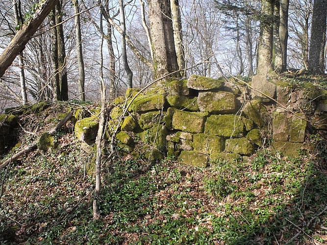 Circuit pédestre "Le sentier de la comtesse Henriette" - Vosges du sud