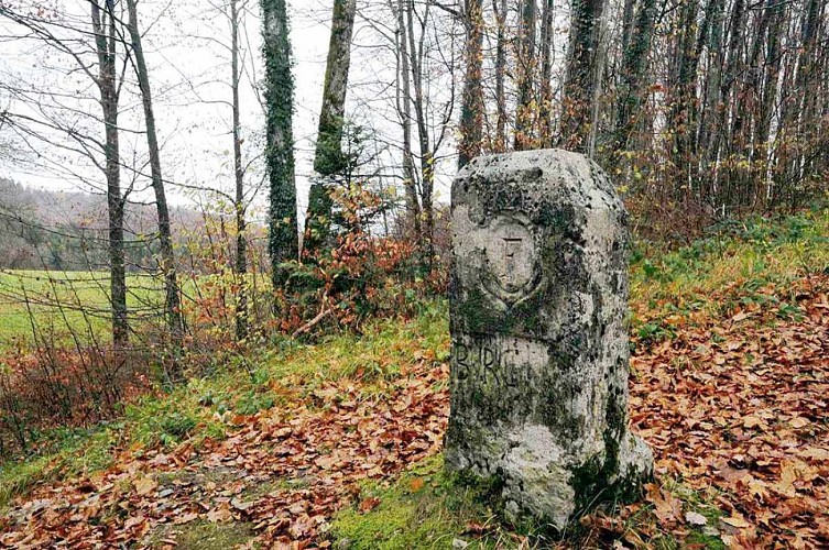 Circuit pédestre "Le chemin des princes" - Vosges du sud