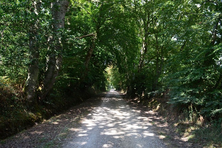 De somptueuses bâtisses- circuit A