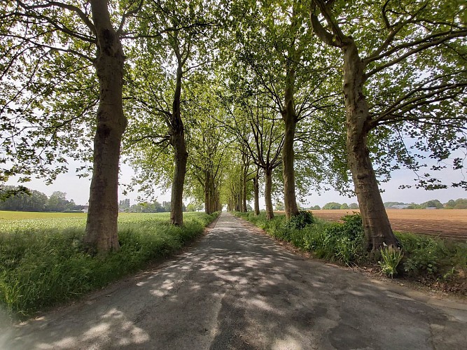 Promenade bucolique à Wauthier-Braine