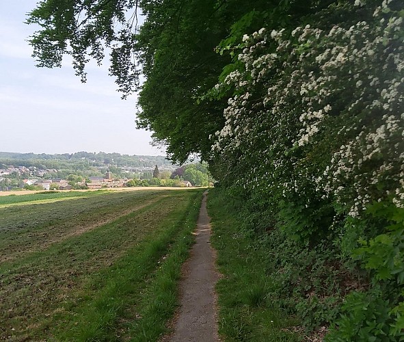 Promenade bucolique à Wauthier-Braine