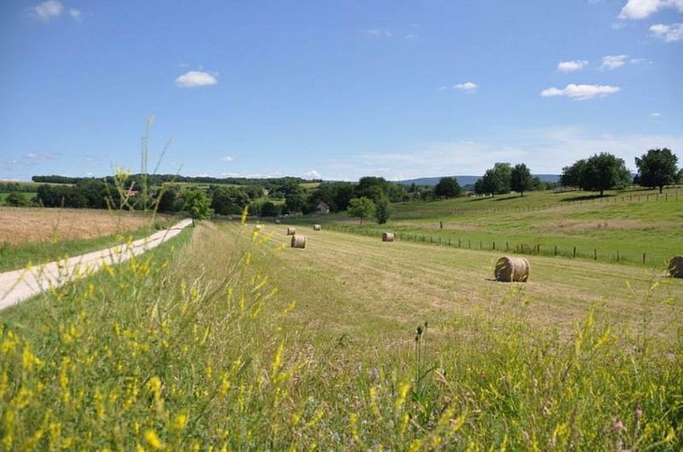 Circuit pédestre "D'un rail à l'autre" - Vallée de l'Ognon