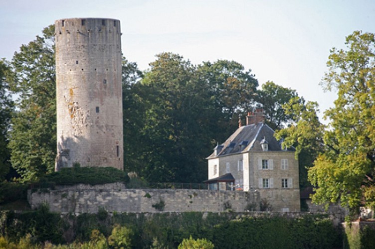 Circuit pédestre "La Saône et l'homme" - Vesoul-Val de Saône