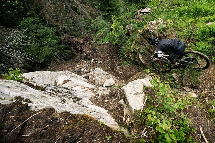 MTB strada - L'Ami (Enduro)