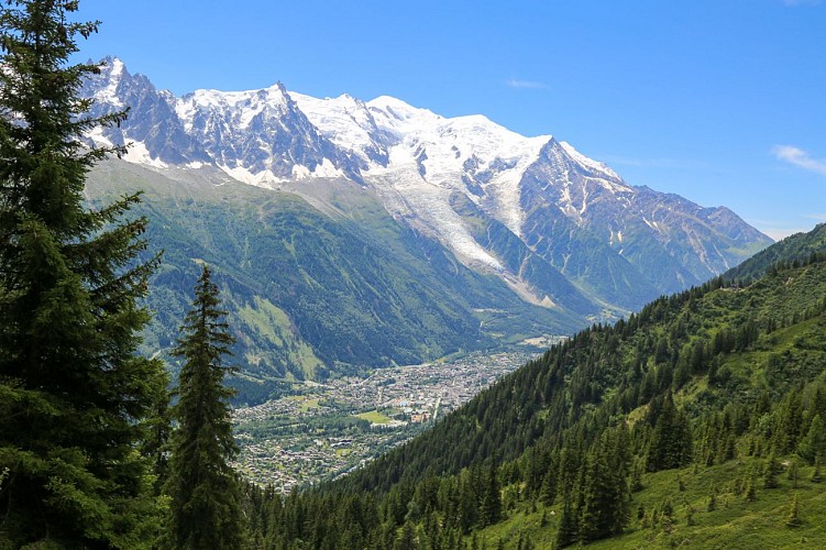 MTB trail - E2 : Enduro Planpraz