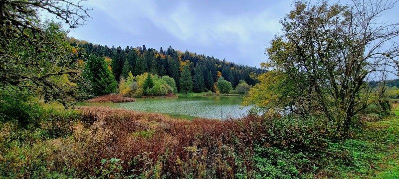 Parcours VTT 57 - bleu - Les étangs marrons - Espace VTT Ain Forestière