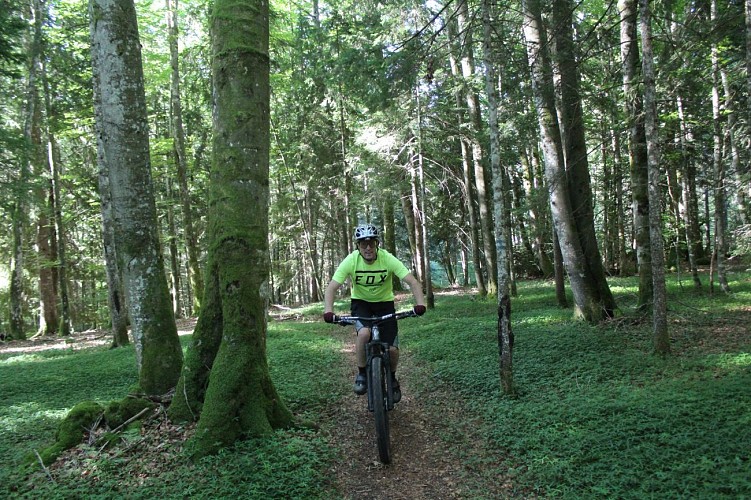 Parcours VTT 57 - bleu - Les étangs marrons - Espace VTT Ain Forestière