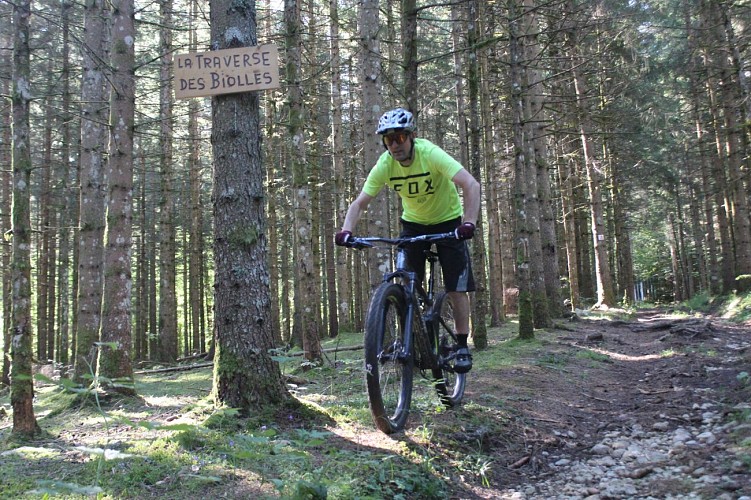 Parcours VTT 57 - bleu - Les étangs marrons - Espace VTT Ain Forestière