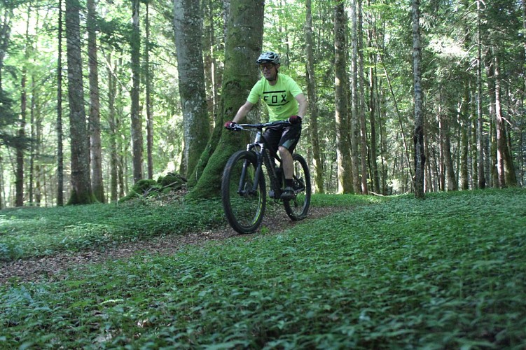 Circuit VTT n°56