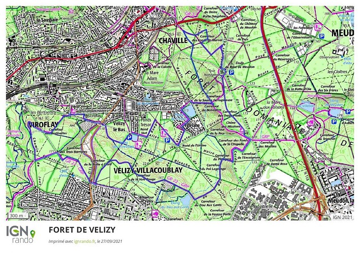 FORET DE VELIZY