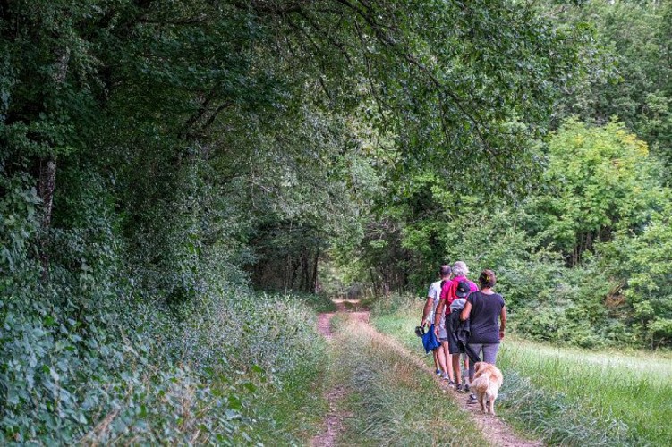 Sur les hauteurs de Latour