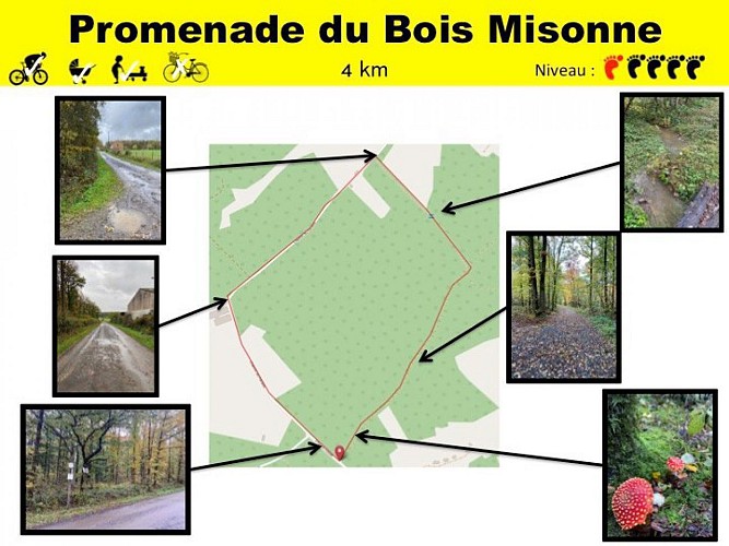 45 Promenade du Bois Misonne - balise jaune