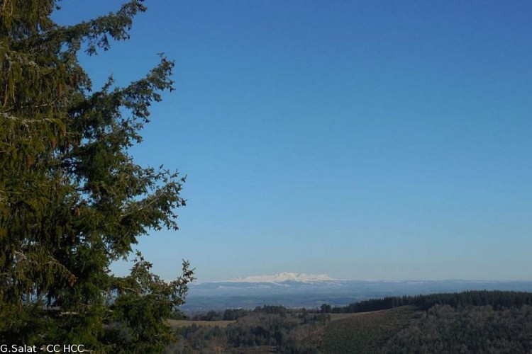 Monts et Bruyères