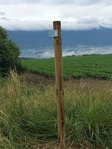 Grey pedestrian route: Valleiry - Jurens
