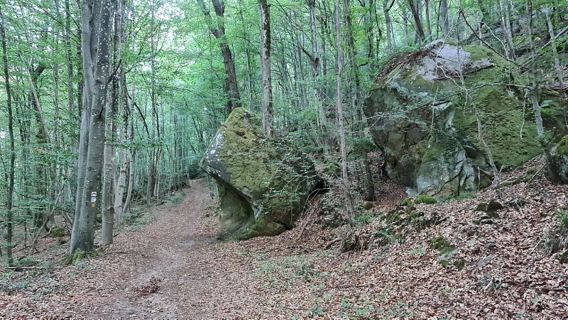 Mullerthal : Circuit des Grottes