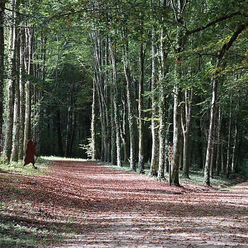Départ des parcours
