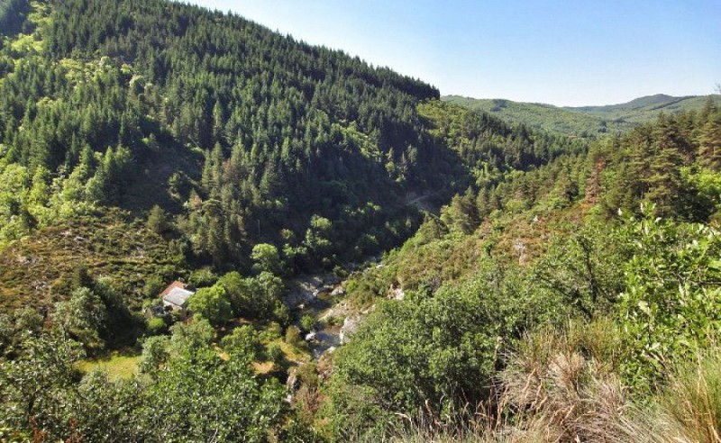 La Dourbie et le Moulin Bondon