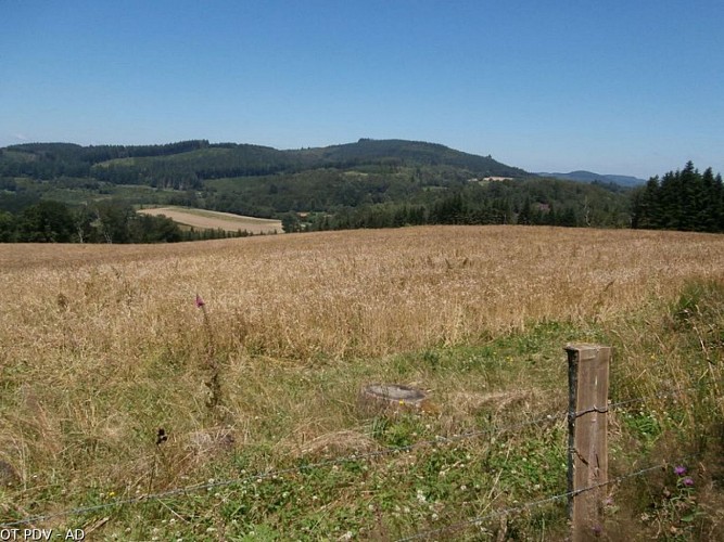 Vue sur la Bachellerie