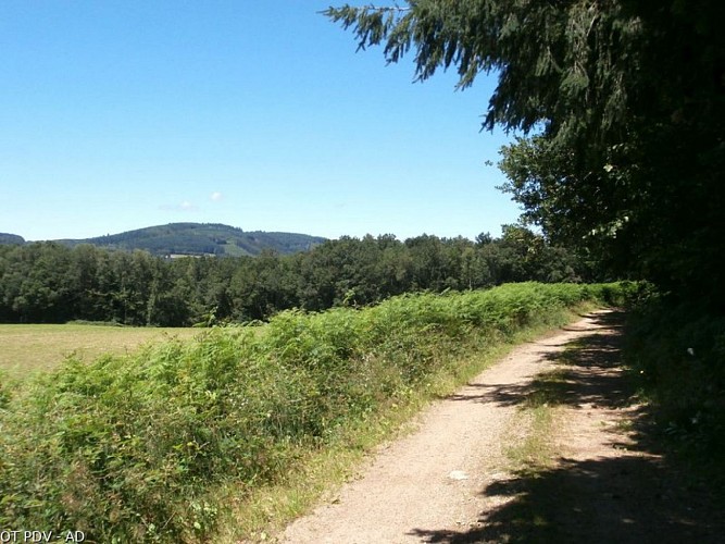 Vue sur le puy de Met