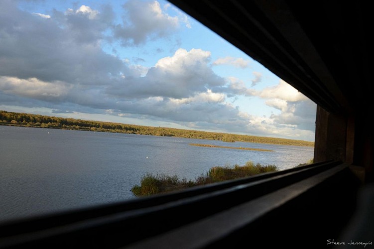 La Grande Traversée de la Forêt du Pays de Chimay
