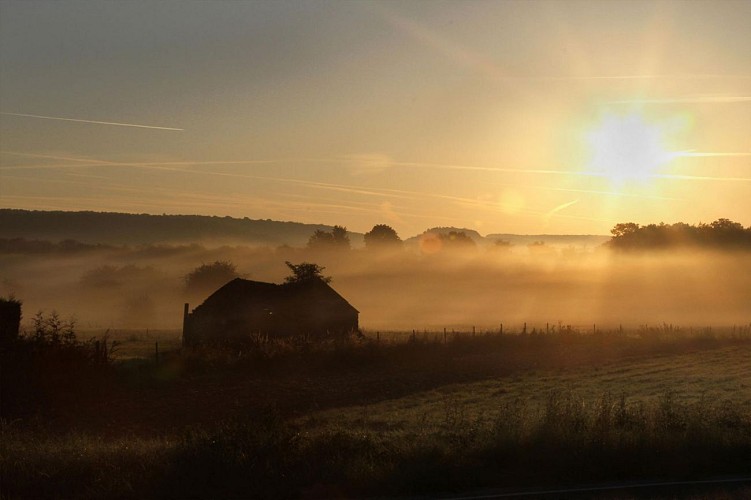 La Grande Traversée de la Forêt du Pays de Chimay