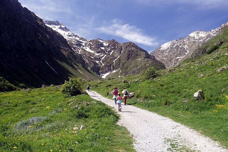 La strada sterrata nei pressi del Gias Isterpis