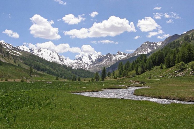 Randonnée Ubayette. L'Ubayette dans le vallon du Lauzanier.