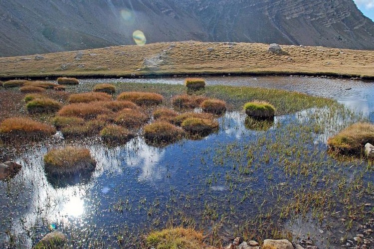 Randonnée Col de la Cayolle. Le petit lac de Sanguinière et sa zone humide en Ubaye et en fin d'été