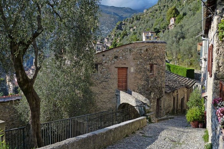 Les ruelles de Saorge parfois décorées d'oliviers