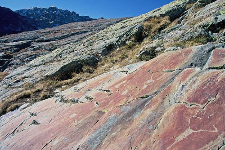 Gravures rupestres à Fontanalbe sur de grandes dalles rocheuses, gravures corniformes