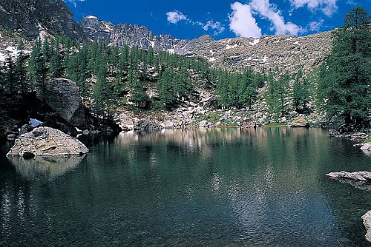 Le lac Vert de Fontanalbe en été, (2150 m), par une forte lumière. Mélézin clairsemé sur ses rives et pentes.